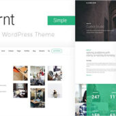 Cursornt – Multi Purpose WordPress Theme