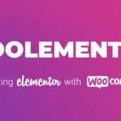 CoDesigner Pro 4.7.5 (Formerly Woolementor)