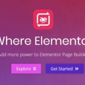 AnyWhere Elementor Pro 2.25.1 – Addons Elementor