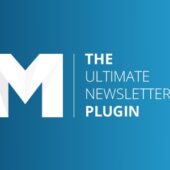 Mailster 3.3.10 – Email Newsletter Plugin