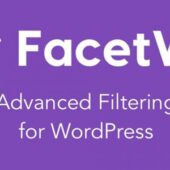 FacetWP 4.3.3 (+Addons) – Advanced Filtering