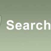 SearchWP 4.3.8 (+Addons) – Search WP Plugin