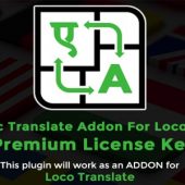 Loco Translate Pro 2.6.11 – Automatic Translate
