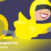 Hummingbird Pro 3.4.0 – Best Caching Plugin