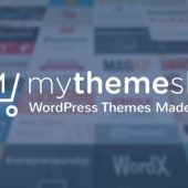 MyThemeShop – Point Pro 2.2.5 WordPress Theme