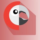 Polylang Pro 3.6 – Multilingual Plugin