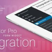 Elementor Pro Form Widget Integration 2.4.6