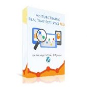Visitor Traffic Real Time Statistics Pro 10.5