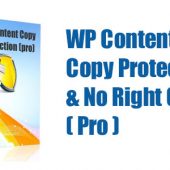 WP Content Copy Protection Pro 16.4