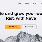 Neve Pro Addon 2.7.3 (Agency Plan)