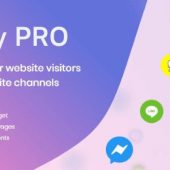 Chaty Pro 3.3.3 – Floating Chat Widget