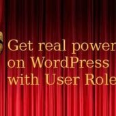 User Role Editor Pro 4.64.2 – WordPress Plugin