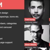 DV Team 2.2 – Responsive Team Showcase