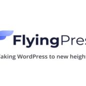 FlyingPress 5.0.2 – Taking To New Heights Plugin