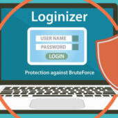 Loginizer Premium 1.8.5 – WordPress Security Plugin