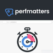 Perfmatters 2.3.4 – WordPress Performance Plugin
