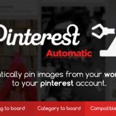 Pinterest Automatic Pin 4.17.0 – WordPress Plugin